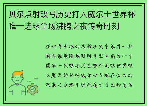 贝尔点射改写历史打入威尔士世界杯唯一进球全场沸腾之夜传奇时刻